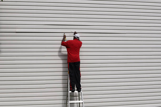 Best Aluminum Siding Installation  in Lincolnia, VA