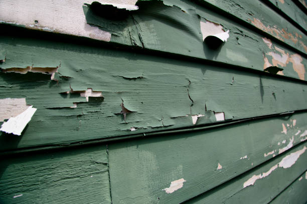 Best Custom Siding Design  in Lincolnia, VA