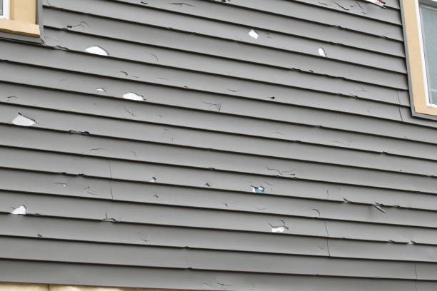 Best Composite Siding  in Lincolnia, VA